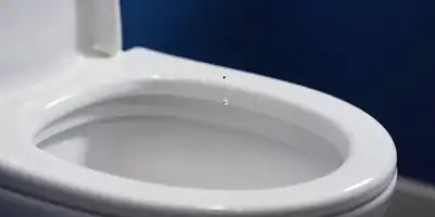 Truque do Sal: O Segredo Noturno para um Vaso Sanitário Impecável e Sem Odores